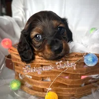 processed/104e71bd-8248-4d0b-930e-2de711be95f6/listing/cdf914e9-54fc-418b-9c3f-95c2a12dfa8c/b49015d6-20cb-423b-9664-0e70a25163c1