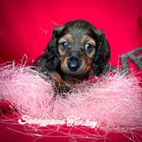 processed/104e71bd-8248-4d0b-930e-2de711be95f6/listing/cdf914e9-54fc-418b-9c3f-95c2a12dfa8c/e53e2769-5617-4df2-b071-f2b66ccc57f8