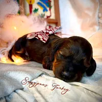 processed/104e71bd-8248-4d0b-930e-2de711be95f6/listing/cdf914e9-54fc-418b-9c3f-95c2a12dfa8c/ffc9a722-9093-4065-ba45-4ca632687485