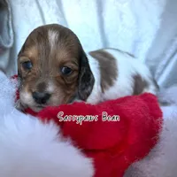 processed/104e71bd-8248-4d0b-930e-2de711be95f6/listing/d7cb850e-e10e-41a2-9087-0e563c047a24/33718ff6-7be7-44e3-97ea-69246a6c6410