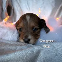 processed/104e71bd-8248-4d0b-930e-2de711be95f6/listing/d7cb850e-e10e-41a2-9087-0e563c047a24/38d7628b-d5cf-4f35-9b82-85f733b8ff1e