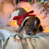 processed/104e71bd-8248-4d0b-930e-2de711be95f6/listing/d7cb850e-e10e-41a2-9087-0e563c047a24/4ef3c49e-c0ce-4a3b-be7e-51be48bd1768