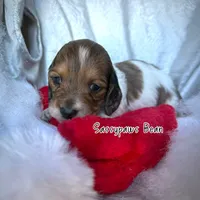 processed/104e71bd-8248-4d0b-930e-2de711be95f6/listing/d7cb850e-e10e-41a2-9087-0e563c047a24/da688cea-fd4f-4701-872c-76a93d921345