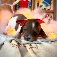 processed/104e71bd-8248-4d0b-930e-2de711be95f6/listing/d7cb850e-e10e-41a2-9087-0e563c047a24/dd87c8de-338e-4ee4-a763-8954a0beca13