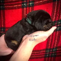 processed/104e71bd-8248-4d0b-930e-2de711be95f6/listing/e97e0f11-bac2-4b91-91f1-bc88087d6b84/4620ac08-108d-4d54-a8c2-f7251b04fbed