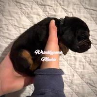 processed/104e71bd-8248-4d0b-930e-2de711be95f6/listing/e97e0f11-bac2-4b91-91f1-bc88087d6b84/82d99779-d9ef-4bf0-b07e-8f6d43cf4550