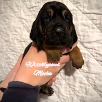 processed/104e71bd-8248-4d0b-930e-2de711be95f6/listing/e97e0f11-bac2-4b91-91f1-bc88087d6b84/941aa76e-032d-4da9-959e-2bcd190a4d9f