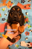 processed/104e71bd-8248-4d0b-930e-2de711be95f6/listing/e97e0f11-bac2-4b91-91f1-bc88087d6b84/c1edee32-0ffc-45c2-8203-e76591b21276