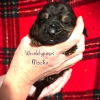 processed/104e71bd-8248-4d0b-930e-2de711be95f6/listing/e97e0f11-bac2-4b91-91f1-bc88087d6b84/db444752-0ac6-4060-9588-b7e312277b82