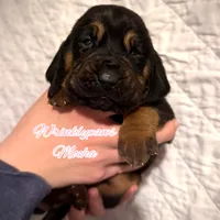 processed/104e71bd-8248-4d0b-930e-2de711be95f6/listing/e97e0f11-bac2-4b91-91f1-bc88087d6b84/fd624aef-0f2b-4eaa-bc63-344bb4641a7d