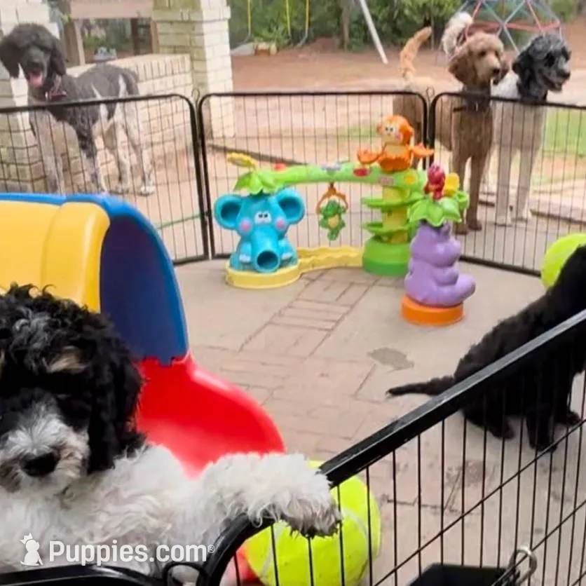 processed/105fa336-7092-4bf6-9431-9635173a3b80/facility/12d12a1c-e484-4b64-b958-13739bffd964