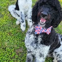 processed/105fa336-7092-4bf6-9431-9635173a3b80/facility/53c47db2-7e5c-444c-9e0b-9325bf9cf2e1