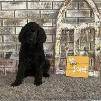 processed/105fa336-7092-4bf6-9431-9635173a3b80/facility/66e52bb9-1663-4f12-b9b2-de97a8436780