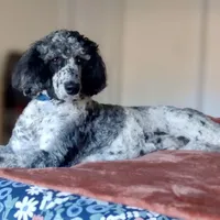 processed/105fa336-7092-4bf6-9431-9635173a3b80/facility/7f7398d3-9566-42b8-9ead-b7397243c939