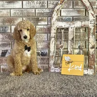 processed/105fa336-7092-4bf6-9431-9635173a3b80/facility/b3b94df6-f5d3-4bf9-bbbe-61cd433aee48