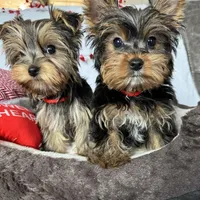 processed/1064ce9f-334a-407f-972c-57945c4598bc/facility/6910e44c-10b9-4e48-923c-319527d31f11