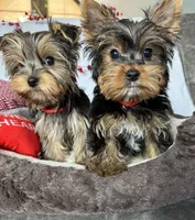 processed/1064ce9f-334a-407f-972c-57945c4598bc/facility/6910e44c-10b9-4e48-923c-319527d31f11