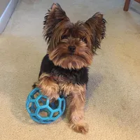 processed/1064ce9f-334a-407f-972c-57945c4598bc/facility/6ee716e0-0850-40ec-865e-c2545203f7c6