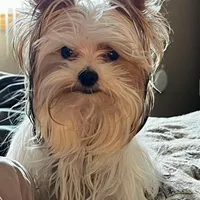 processed/1064ce9f-334a-407f-972c-57945c4598bc/facility/7a394a00-0053-42d5-9ffb-790693abbea7