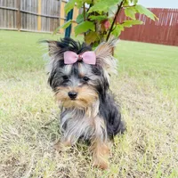 processed/1064ce9f-334a-407f-972c-57945c4598bc/facility/8f42ff25-d581-47b2-8487-5510521865e9