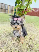 processed/1064ce9f-334a-407f-972c-57945c4598bc/facility/8f42ff25-d581-47b2-8487-5510521865e9