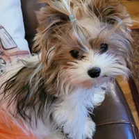 processed/1064ce9f-334a-407f-972c-57945c4598bc/facility/e7ed02fe-0fe6-4604-9d87-784f5e7c17ed