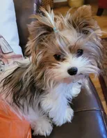 processed/1064ce9f-334a-407f-972c-57945c4598bc/facility/e7ed02fe-0fe6-4604-9d87-784f5e7c17ed