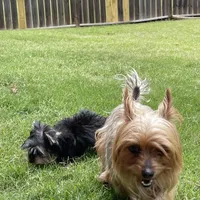 processed/1064ce9f-334a-407f-972c-57945c4598bc/facility/ee30e3bf-5958-4865-81d2-ea466a5c81c0