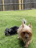 processed/1064ce9f-334a-407f-972c-57945c4598bc/facility/ee30e3bf-5958-4865-81d2-ea466a5c81c0