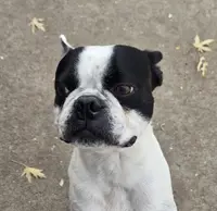 processed/106a17b1-85b1-46d7-a5e2-3a8071107b63/listing/a61c0d69-af9f-4a80-aa7c-914e8fb55974/25f9b126-24e1-42d3-8888-4f9d6c037588