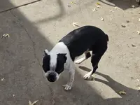 processed/106a17b1-85b1-46d7-a5e2-3a8071107b63/listing/a61c0d69-af9f-4a80-aa7c-914e8fb55974/f25ce5af-dfe6-4acc-bb6c-070a57c1aa9e