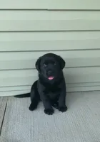 processed/1082c65e-f99c-403d-80d7-93da3e24f851/facility/132c31c2-a34c-4d9b-97f8-47a252e2cb1a