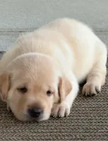 processed/1082c65e-f99c-403d-80d7-93da3e24f851/facility/13d94cca-c089-483d-a2ec-aaaa423eb34c