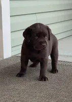 processed/1082c65e-f99c-403d-80d7-93da3e24f851/facility/22659407-72a2-4856-bcc0-1e65d2176fb3