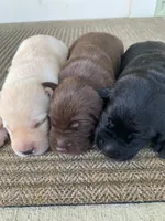 processed/1082c65e-f99c-403d-80d7-93da3e24f851/facility/26bdd9ce-9161-46c7-85de-33a70249bfa5