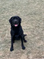 processed/1082c65e-f99c-403d-80d7-93da3e24f851/facility/29c1fe20-4c33-4b35-a7a5-5ec66e74deef