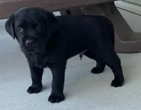 processed/1082c65e-f99c-403d-80d7-93da3e24f851/facility/846bc11d-5453-4f64-9370-5ae7886e0cc6