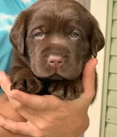 processed/1082c65e-f99c-403d-80d7-93da3e24f851/facility/8850a9ba-7b4e-49f6-bf4f-454069a39d06