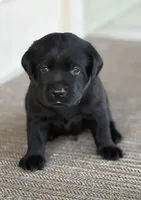 processed/1082c65e-f99c-403d-80d7-93da3e24f851/facility/9380fe5e-bd11-451e-8ff1-0a5deddfb4e1