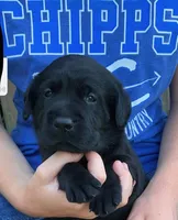 processed/1082c65e-f99c-403d-80d7-93da3e24f851/facility/c626e5c3-fc5b-47e7-a96d-6bea6c9cc8a5