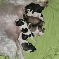 processed/10831fb1-35eb-47fe-aa2c-0aaaa8e2c20d/facility/a71e0998-778b-4d16-8f1f-20f8e4c1b3fe