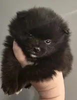 processed/108867dc-54b5-4a7d-84b9-3b877ce62dba/listing/00fc82c2-48bf-4339-b343-cc77751429cc/143039ee-1fcf-425a-b42d-e5056e6c0418