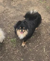 processed/108867dc-54b5-4a7d-84b9-3b877ce62dba/listing/00fc82c2-48bf-4339-b343-cc77751429cc/9d5817f6-f151-4fe8-836c-c97e2ab4fdc2