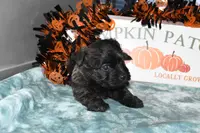 processed/108bccda-383c-4a33-a52a-cb61a97dfcad/listing/bc1a0cfe-9c22-484e-9826-de4bdd0c39c9/2339fddd-057f-4756-93db-96121e1ace56