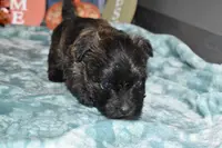 processed/108bccda-383c-4a33-a52a-cb61a97dfcad/listing/bc1a0cfe-9c22-484e-9826-de4bdd0c39c9/2816d3cb-36b9-4979-a4c4-4673077237ec