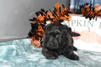 processed/108bccda-383c-4a33-a52a-cb61a97dfcad/listing/bc1a0cfe-9c22-484e-9826-de4bdd0c39c9/ad059479-acd3-44f0-bd5f-becbbde17cc2