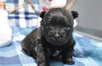 processed/108bccda-383c-4a33-a52a-cb61a97dfcad/listing/ce9eb4c2-c82b-4dcd-8756-874a8b6f8152/44082642-4828-45c5-ab24-8a6899f1610c