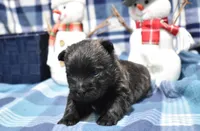 processed/108bccda-383c-4a33-a52a-cb61a97dfcad/listing/ce9eb4c2-c82b-4dcd-8756-874a8b6f8152/52e963bd-f778-4ad5-a674-b5dcbe2d0b6f