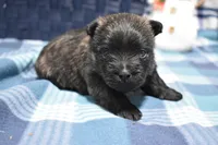 processed/108bccda-383c-4a33-a52a-cb61a97dfcad/listing/ce9eb4c2-c82b-4dcd-8756-874a8b6f8152/814e701a-3c96-4dbf-9b92-ad7817788ffa