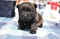 processed/108bccda-383c-4a33-a52a-cb61a97dfcad/listing/ce9eb4c2-c82b-4dcd-8756-874a8b6f8152/92571373-57d3-4ad7-bfaa-5ac765d74625